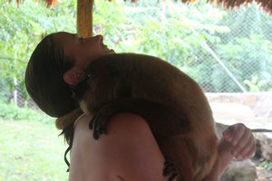 Howler monkey likes cuddles