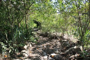 path into La Sende Verde