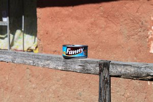 yep.. its a tin of tuna called Fanny.. tehehehe