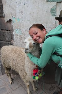 me and my llama called Pablo