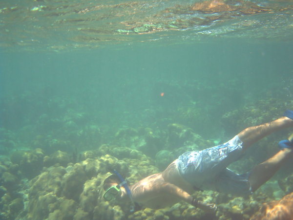 snorkelling at the coral garden
