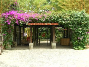 Coffee Tour - Antigua