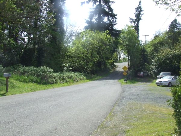 The road to Bella's house!
