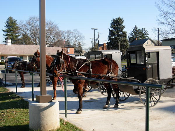 Amish Carpark