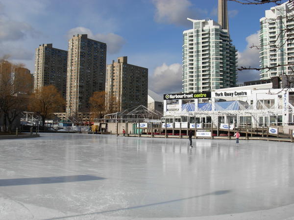 Ice skating rink on the waterfront