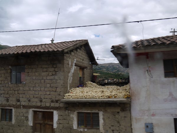 Maize drying out on the roof