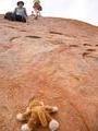 Monkey climbing the Uluru