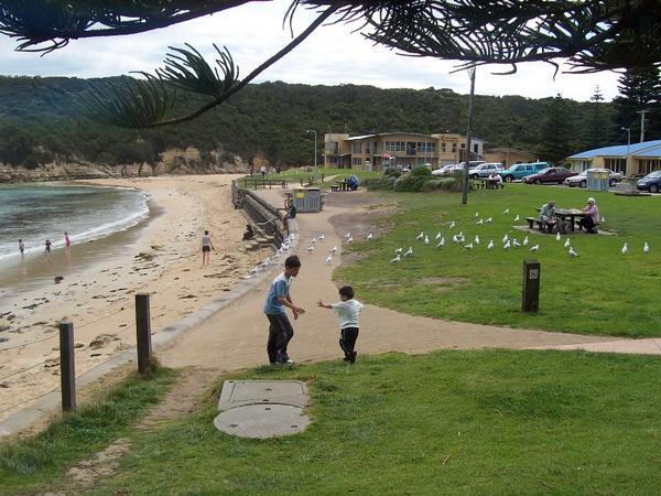Port Campbell Foreshore