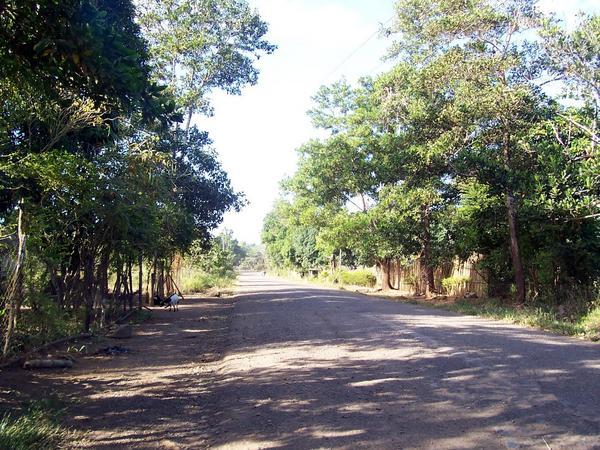 Road to Sabang