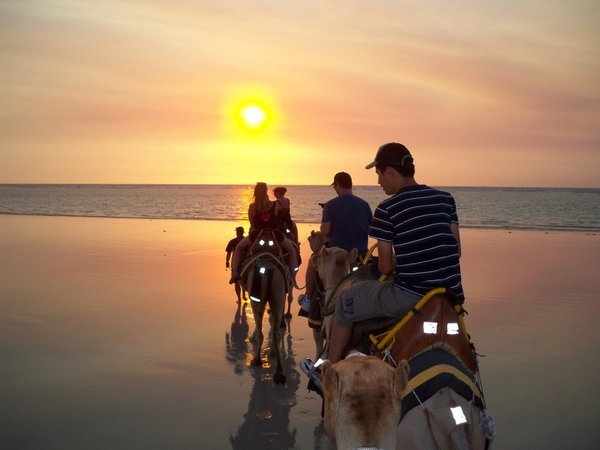 Sunset Camel Ride on Cable Beach (Broome)
