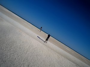 Shell Beach (Shark Bay)