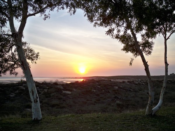 Sunrise (Port Hedland)