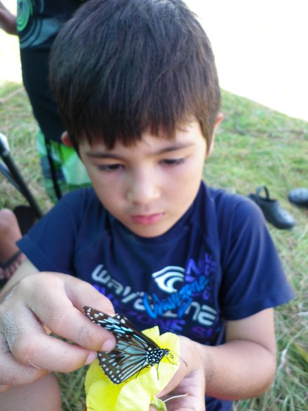 Ryan caught a butterfly
