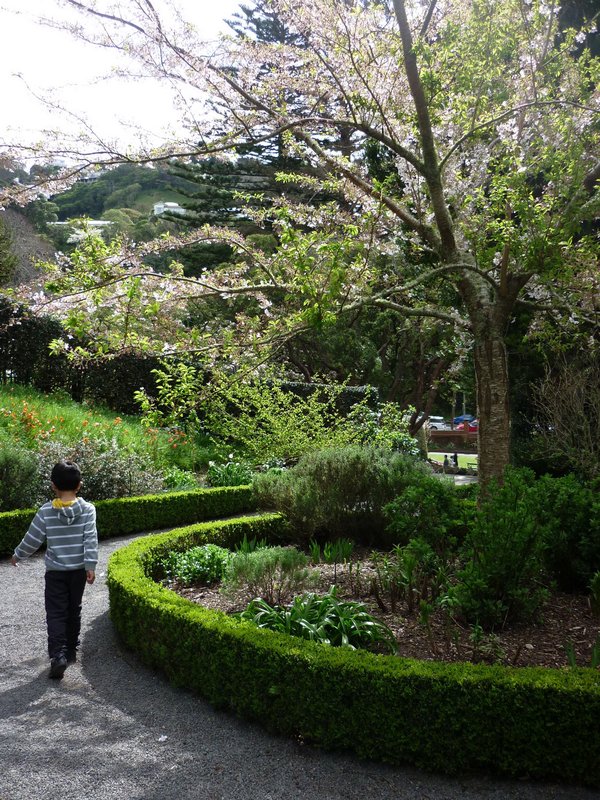 Wellington Botanical Garden