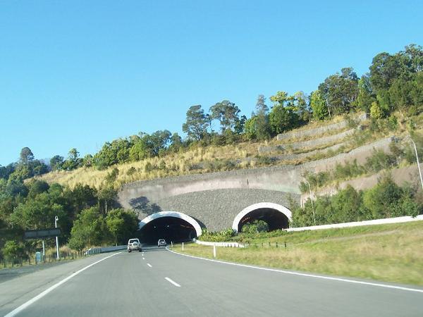 Tunnel (NSW)