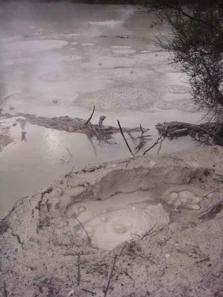 Natural Boiling Mud Pool