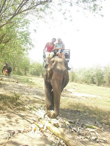 Elephant ride :)