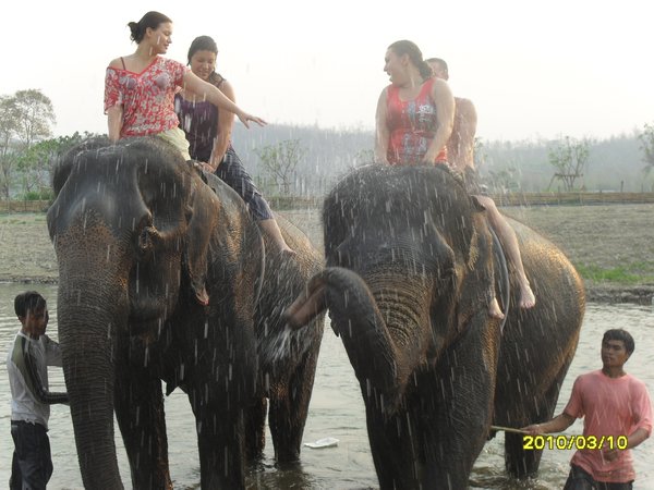 All wet after swimming and having fun with the elephants