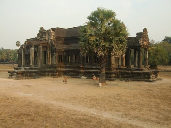 Part of Angkor wat