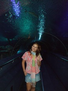 Aquarium Kuala Lumpur