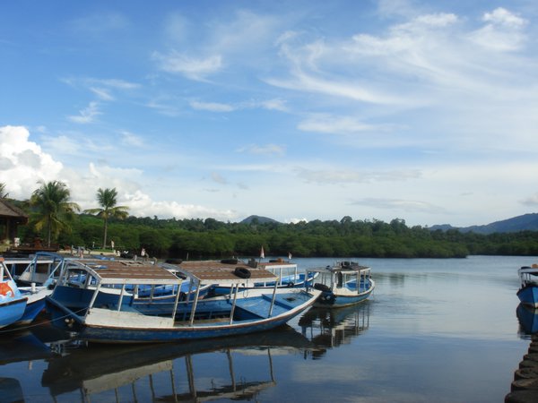 Small harbour to Menjangan island