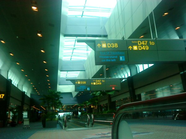 cool changi airport