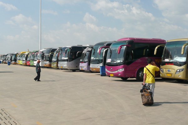 Buses, buses, buses