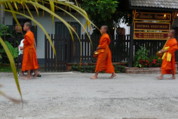 3 of 100s of Monks