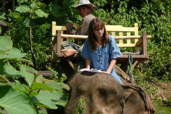 Molly the mahout