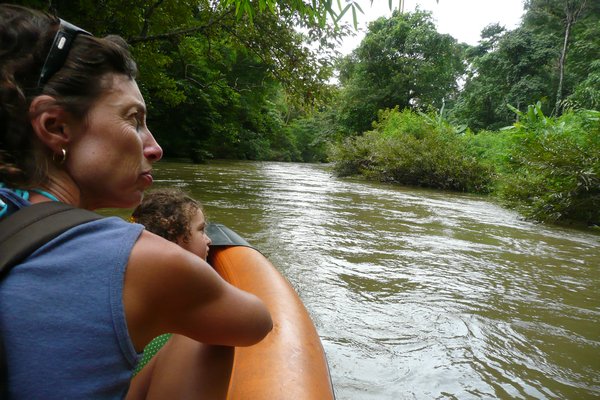 Rainforest canoe trip