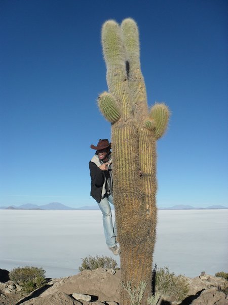 Cactus Climb