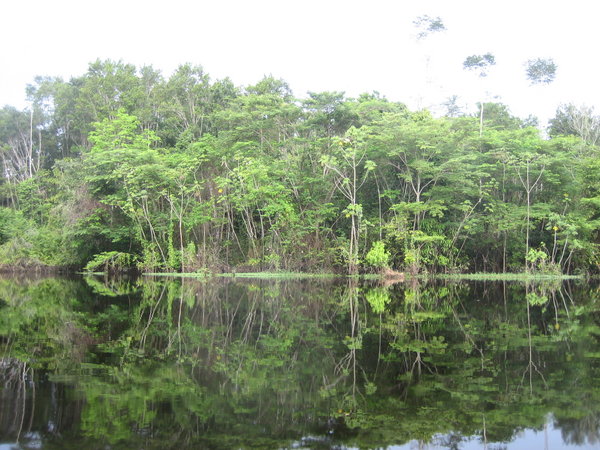 Canoe Trip Through the Jungle