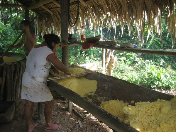 Sieving and Heating the Manioc (Cassava)