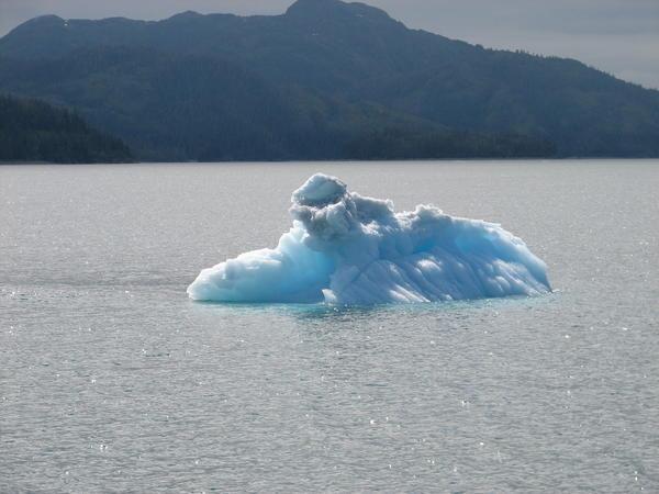 Iceberg near the Glacier