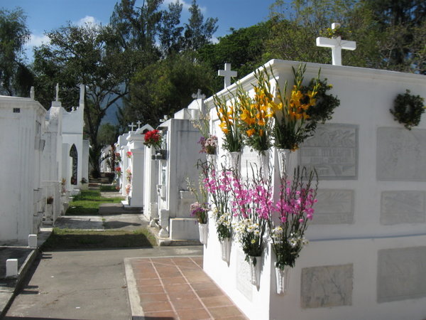 Antigua Cemetery