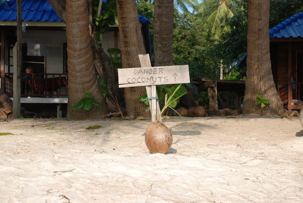 Danger Coconuts