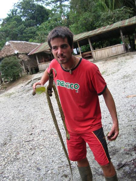 Jack et son serpent...