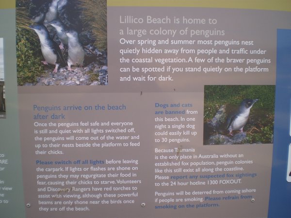 Lilico Beach 