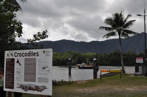 Daintree River