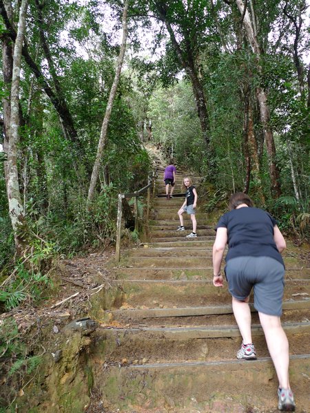 Bjergvandring op ad Mount Kinabalu