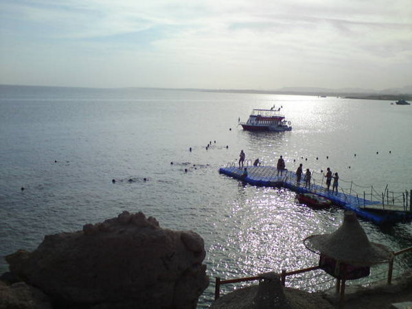 Pacha Bay