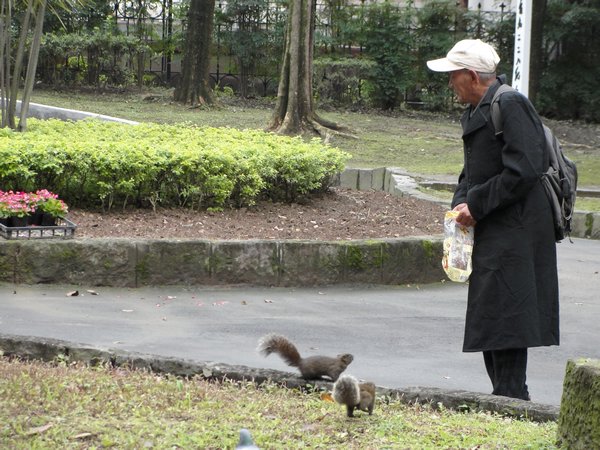 Feeding squirrels