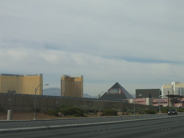 The back of the strip