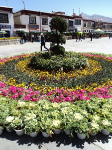 flowers at Barkhor Plaza