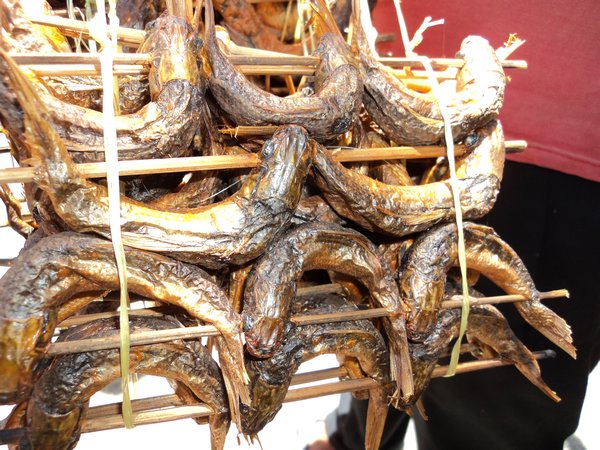 interesting dried fish