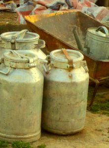 water / milk cans