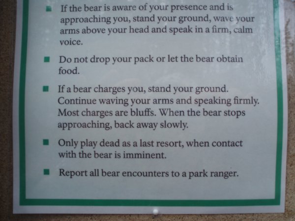 If a bear charges you, stand your ground