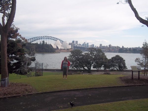 View from the Botanical Gardens