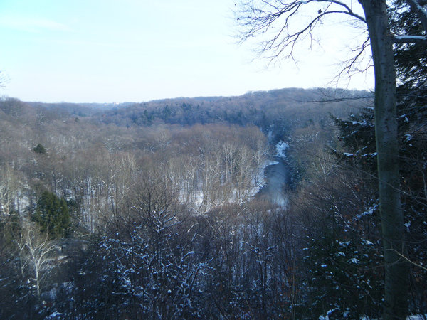 Bedford Reservation Scenic Outlook
