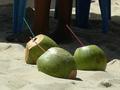 Coconuts from Brasil